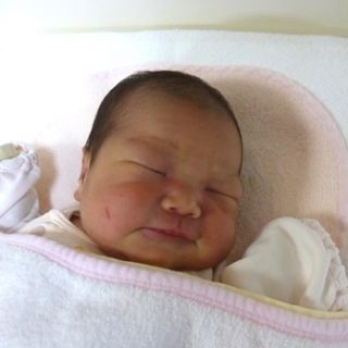 芽依
