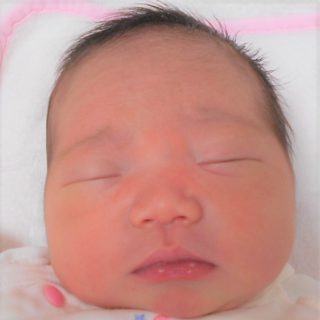 蘭