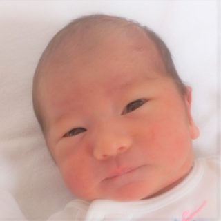 芽依