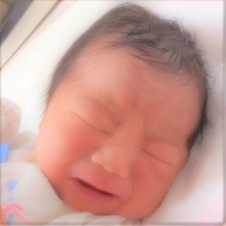 朋樹