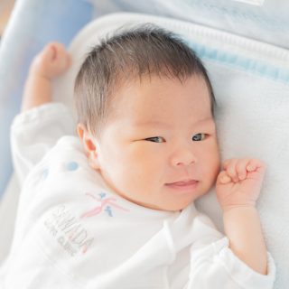 蓮弥