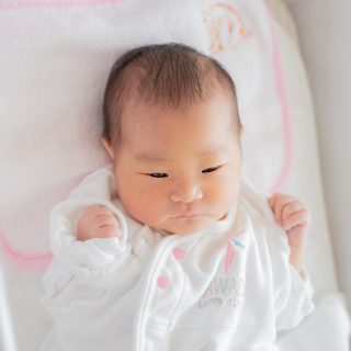 紫葵